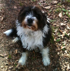 Meet your Posher, Trish